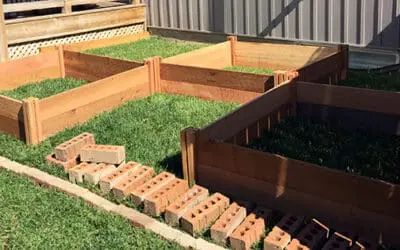Square Foot Gardening 101