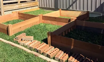 Square Foot Gardening 101
