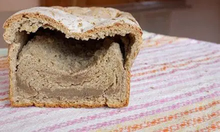 What Went Wrong With Your Bread?