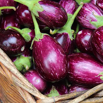 50 early spring vegetables