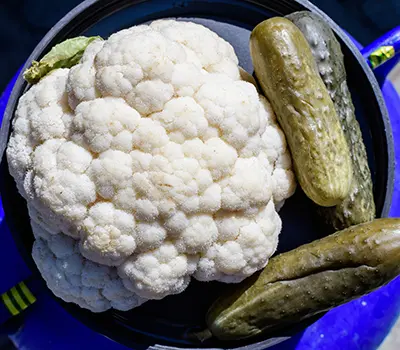 Blue Barrel Uses You Never Thought Of - food storage