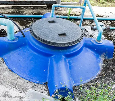 Blue Barrel Uses You Never Thought Of - gray water