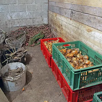 How To Preserve Food Without Electricity