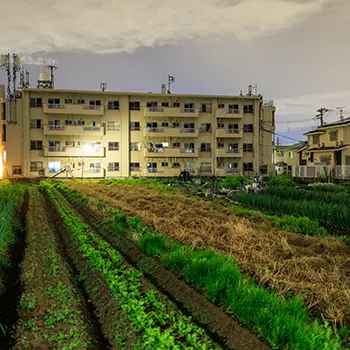 Agrihood: are you pro or against it? 