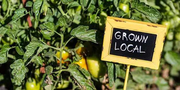 Agrihood: Are You Pro Or Against It?