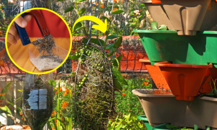 10 Useful Ways to Use Magnets On Your Property