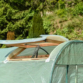 Avoid These 7 Common Greenhouse Gardening Mistakes