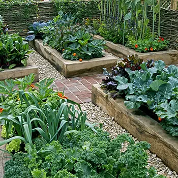 How To Start A Regenerative Garden - raised beds