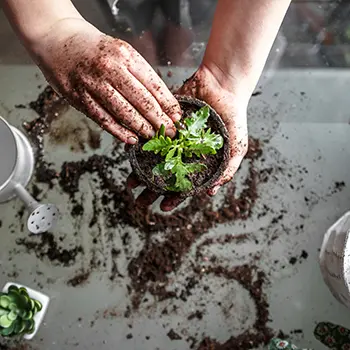 If You Don't Have Enough Space To Grow A Garden, Do This