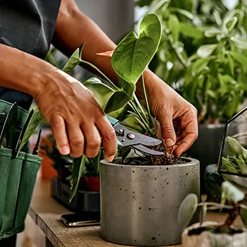 15 Tools That Should Not Be Missing From Your Gardening Kit