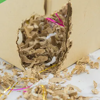 9 Signs You've Got Rats - gnaw marks