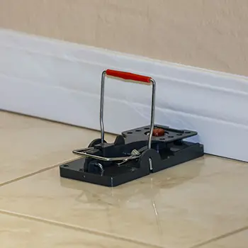 9 Signs You've Got Rats - rat traps