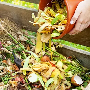 Backyard Projects That Might Get Banned In The Future - composting