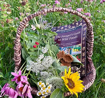 Foraging Mistakes You're Probably Making