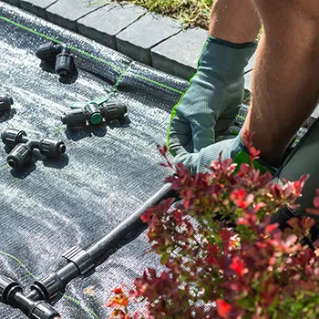 Drip Irrigation vs. Soaker Hose