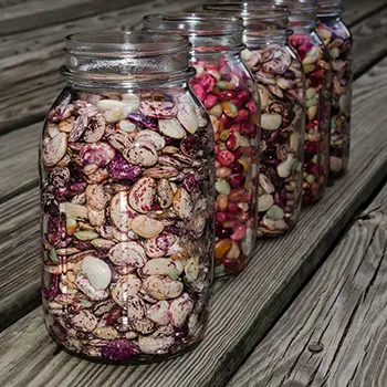 The Ultimate Survival Crop You Need On Your Property - canned beans