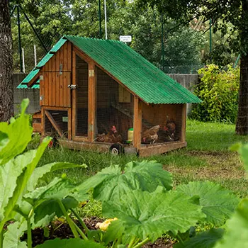 Do THIS Before Summer is Over