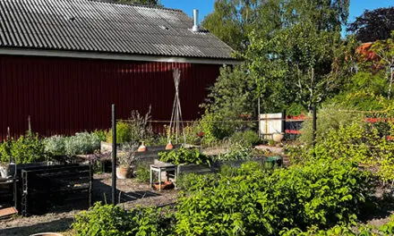 Do THIS Before Summer is Over