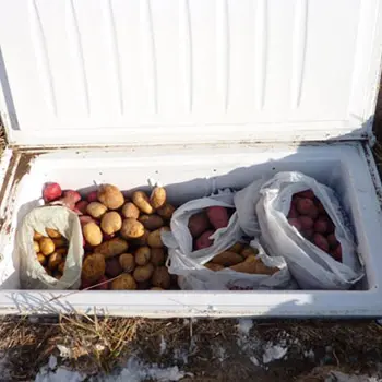 FEMA will never take your stockpile if you hide it here
