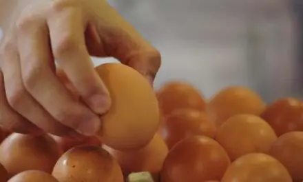 How to Spot Spoiled Eggs Without Breaking a Shell