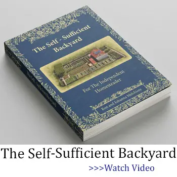 The Self Sufficient Backyard