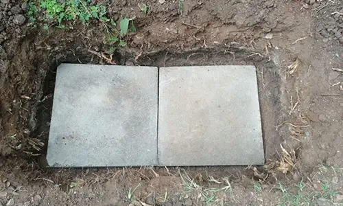 DIY Root Cellar In A Box