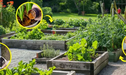 Gardening Myths That Are Actually True