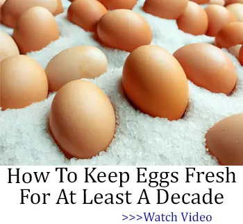 How to keep eggs fresh for at least a decade