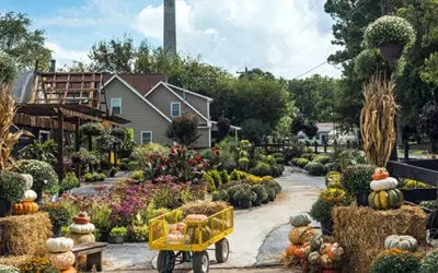 11 Items To Look For At An Amish Market