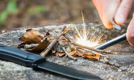 7 Survival Skills You’ll Need After the Collapse