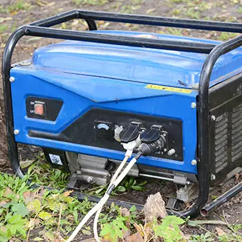 Hide This Immediately If You Have It On Your Property