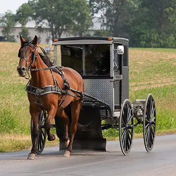 I Visited An Amish Farm. This Is How It Went