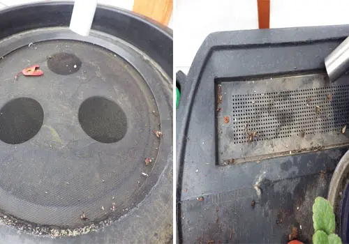 DIY Ingenious Rainwater Harvesting Systems - filter