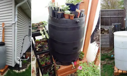 DIY Ingenious Rainwater Harvesting Systems