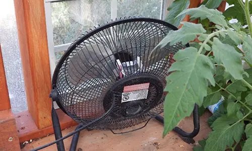 Greenhouse 101 - fan inside the greenhouse