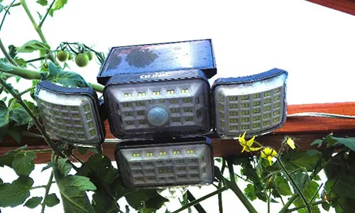 Greenhouse 101 - motion detecting lights