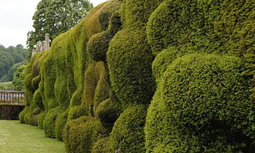 How to Become Invisible Wherever You Live