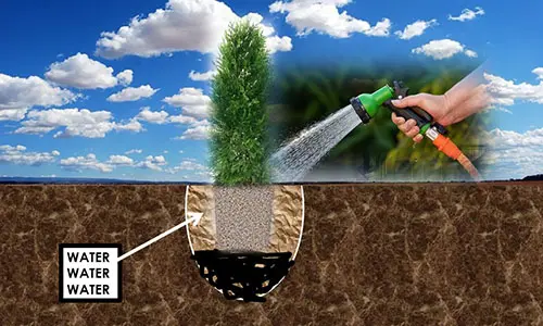 How to Become Invisible Wherever You Live