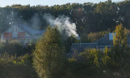 How to Become Invisible Wherever You Live