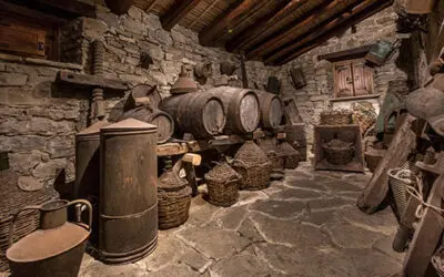 I Wish I’d Known This Before Building A Root Cellar