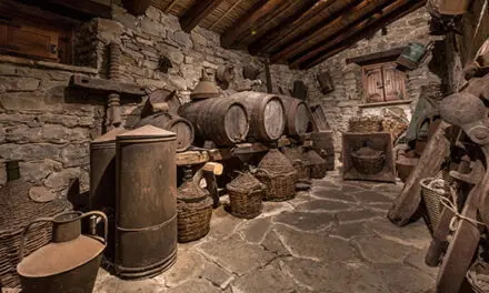 I Wish I’d Known This Before Building A Root Cellar