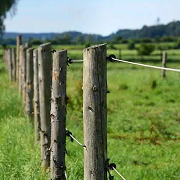 Items You Need to EMP-Proof Before It’s Too Late