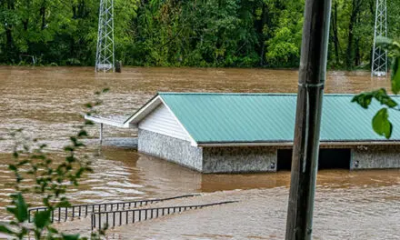 The First 7 Days After Hurricane Helene Hit My Homestead
