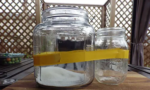 DIY Apple Cider Vinegar