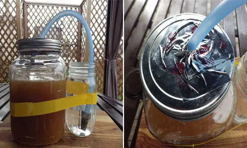 DIY Apple Cider Vinegar