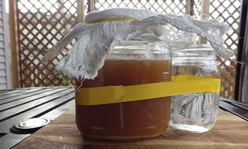 DIY Apple Cider Vinegar