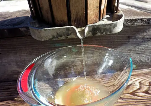DIY Apple Cider Vinegar