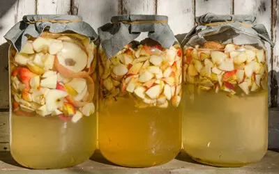 DIY Apple Cider Vinegar