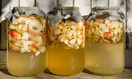 DIY Apple Cider Vinegar