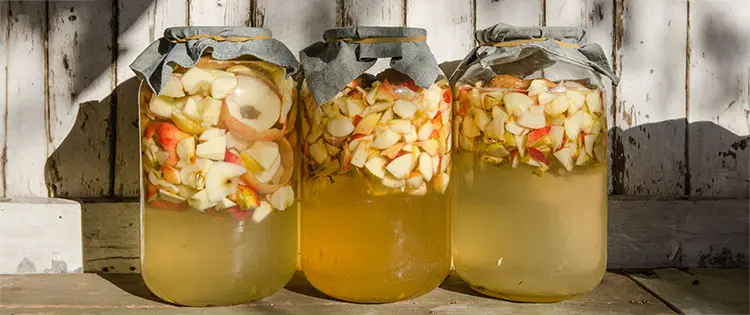 DIY Apple Cider Vinegar